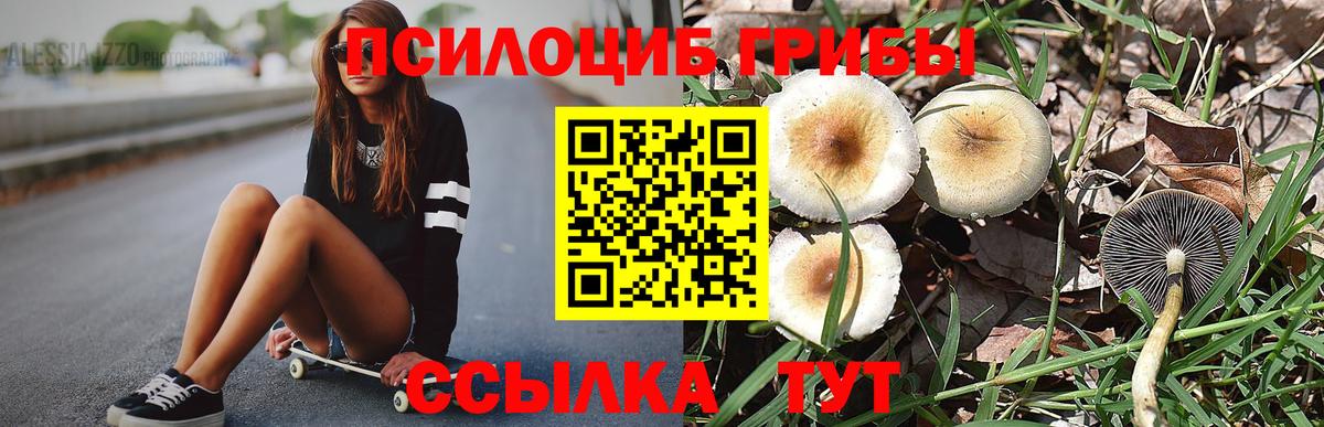 Псилоцибиновые грибы MAGIC MUSHROOMS Семилуки